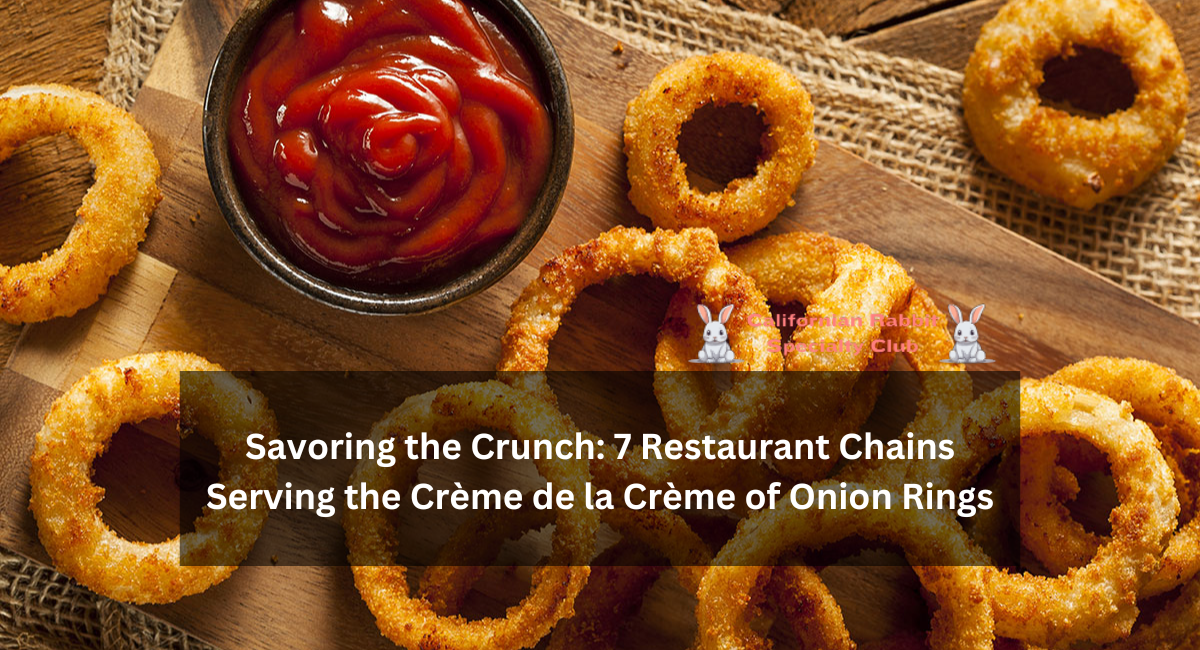 Savoring the Crunch: 7 Restaurant Chains Serving the Crème de la Crème of Onion Rings