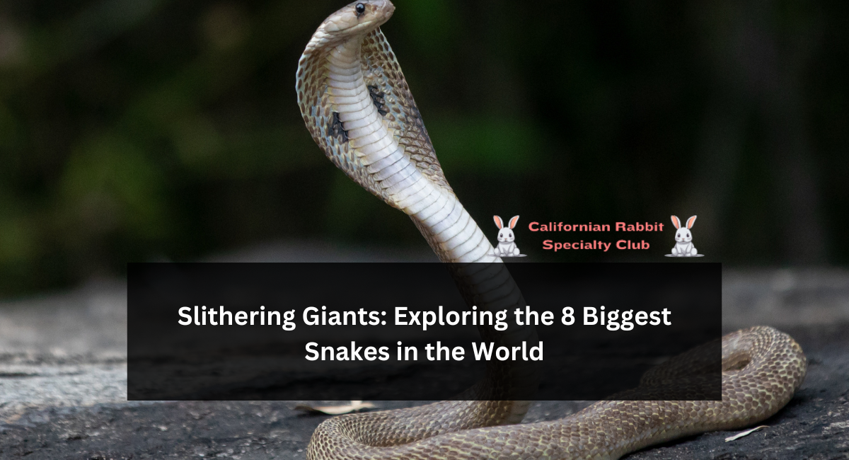 Slithering Giants: Exploring the 8 Biggest Snakes in the World